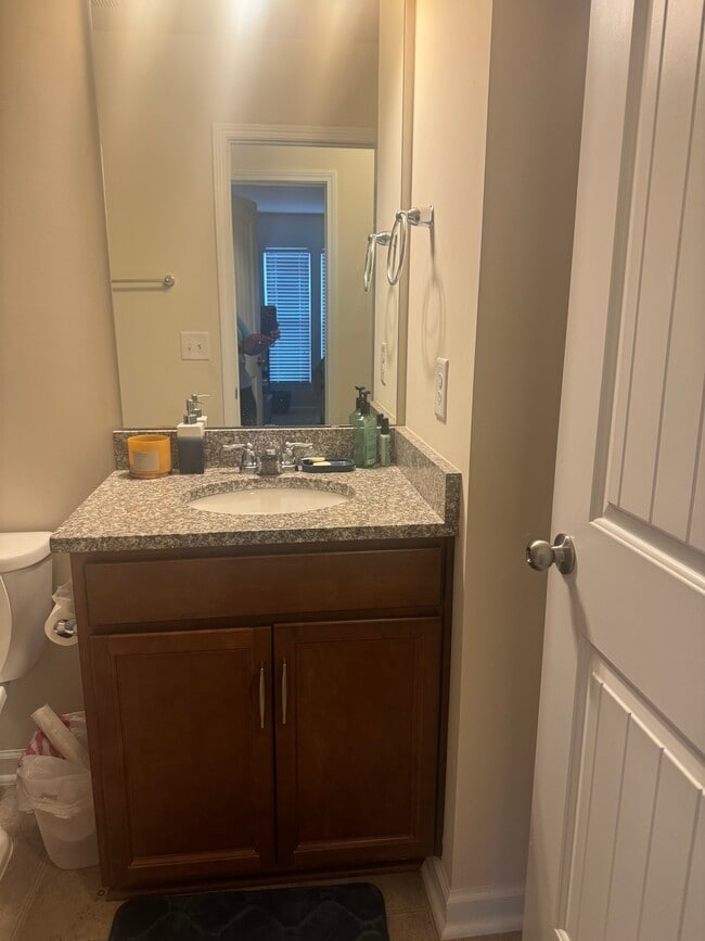 2nd Bathroom - 1035 Laceflower Dr