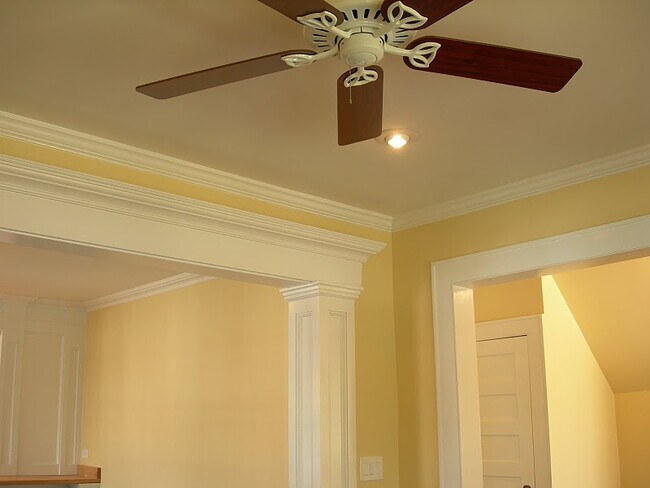 1st floor apt - 450 Davidson St