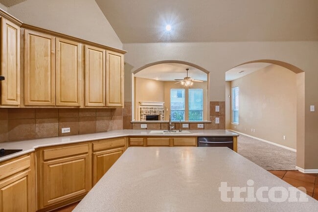 Building Photo - 4203 Wildbriar Ln