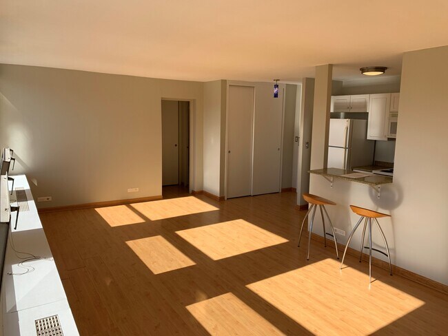 Building Photo - Wonderful West Facing Studio in Lincoln Park