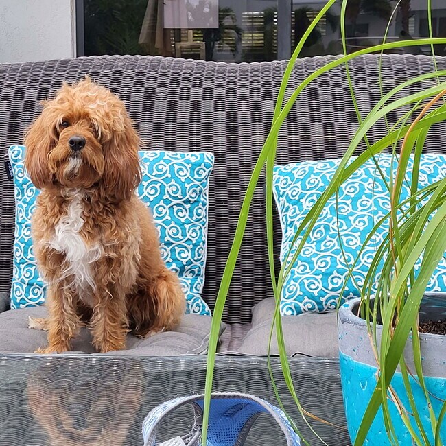 Photo - 5700 NE 20th Ave House