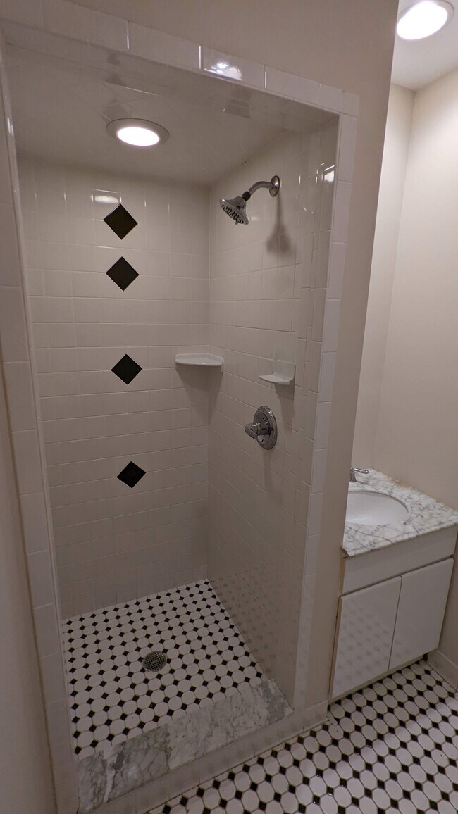 Master bath with shower - 84 Division St S