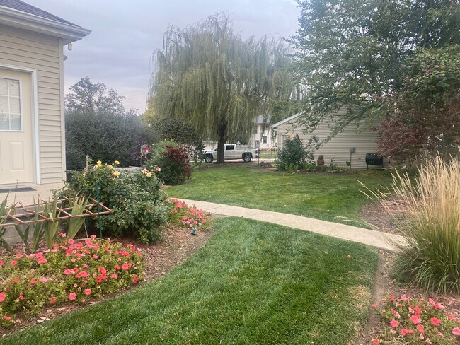 Back Yard - 100 4th Ave NW