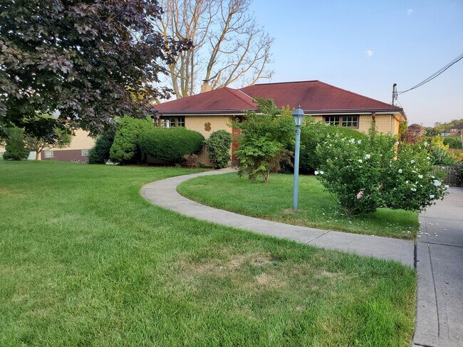 Front yard - 223 Lenore Dr