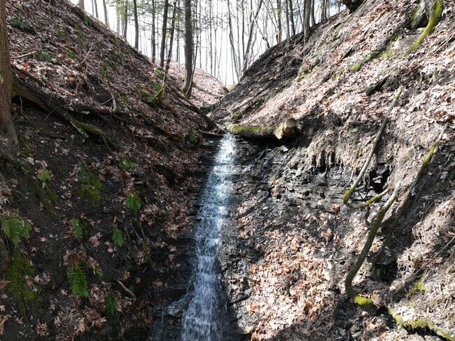 Cascading Waterfalls in Shenentaha Creek Park