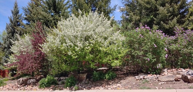 Foto del edificio - 1468 Willow Loop