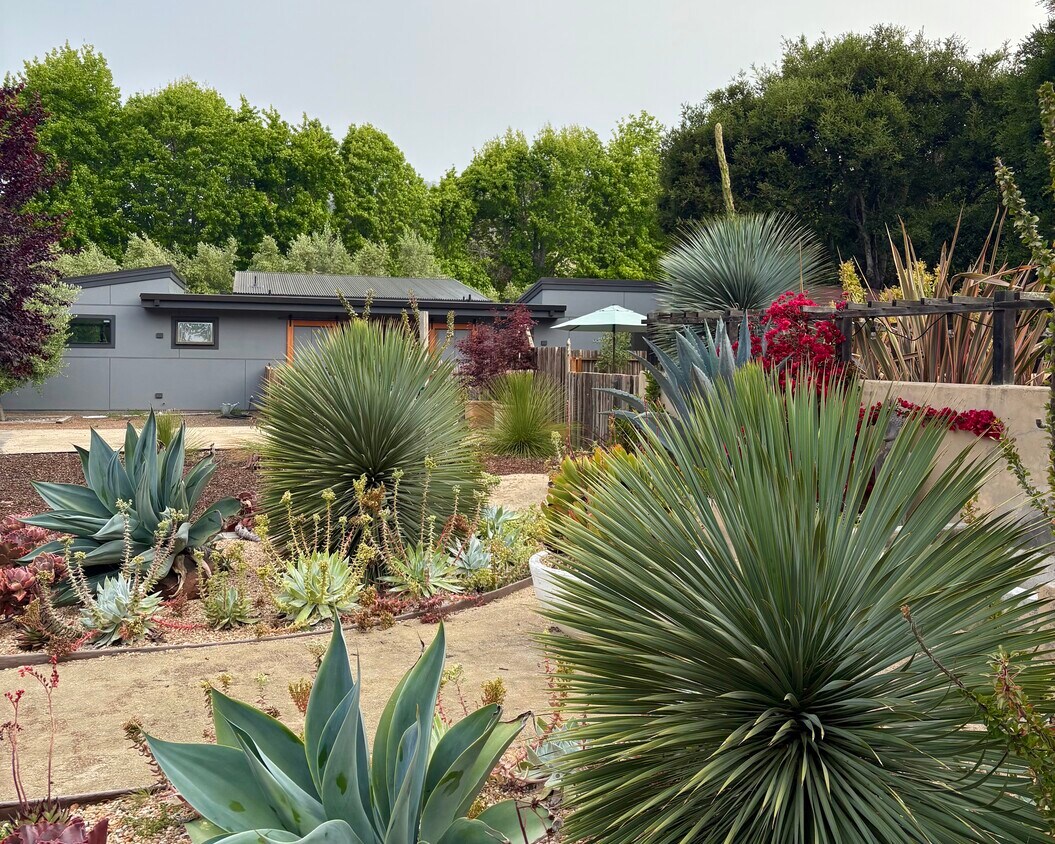 Primary Photo - 6 Scarlett Rd