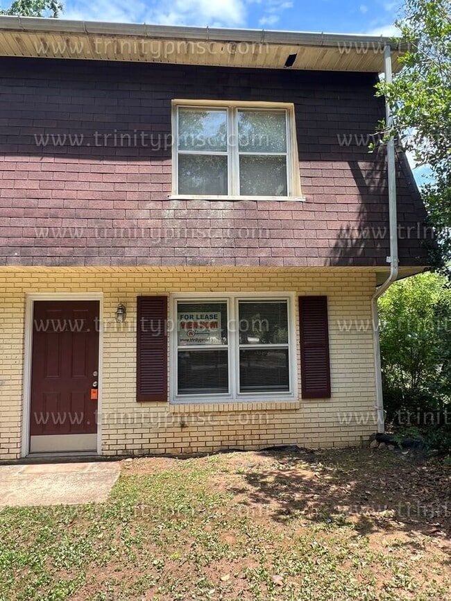 Foto del edificio - Gorgeous, upgraded and refurbished townhome across from Erskine College!