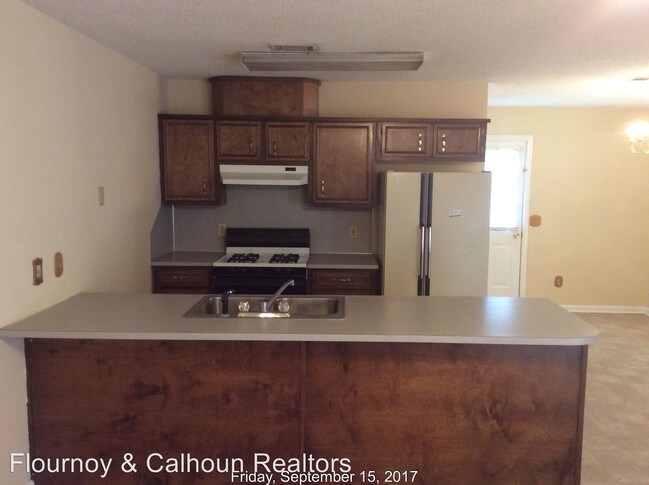 Building Photo - 3 br, 2 bath Apartment - 8439 Canaan Drive