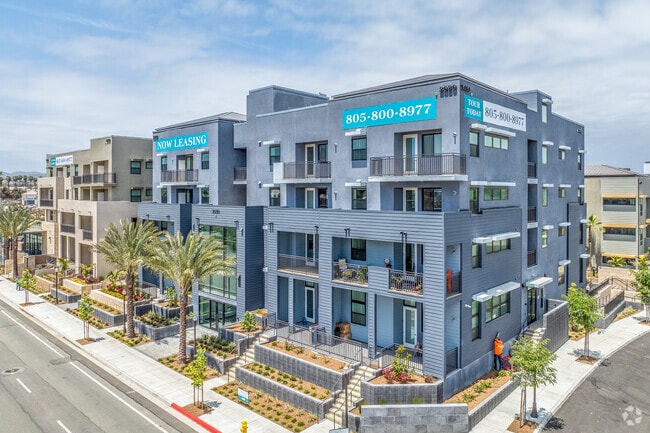 Building Photo - Willows at Ventura