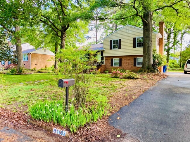 Building Photo - Beautiful and Spacious 4bdrm/2.5bth Tri-Le...