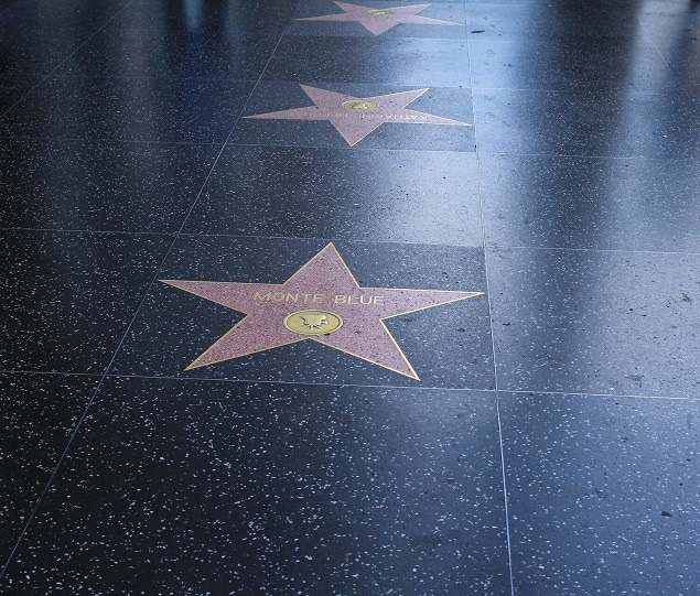 Picture of Hollywood