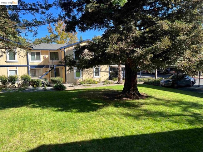 Building Photo - 1520 Schenone Ct