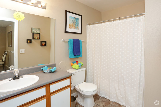 2BR, 2BA - 1,000 SF - Bathroom - Cambury Hills Apartments