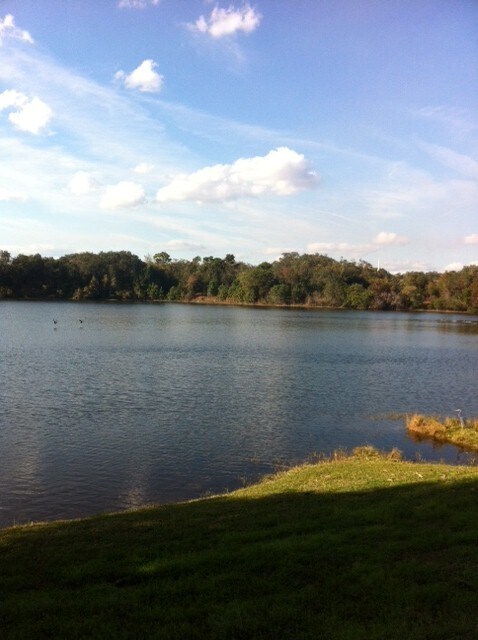 Building Photo - BEAUTIFUL Lakefront 3 bedroom, 2 bath, 2 c...