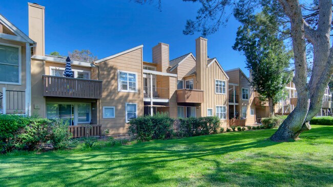 Riva Terra Apartments at Redwood Shores Apartments