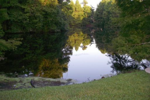 Building Photo - Southbrooke condo