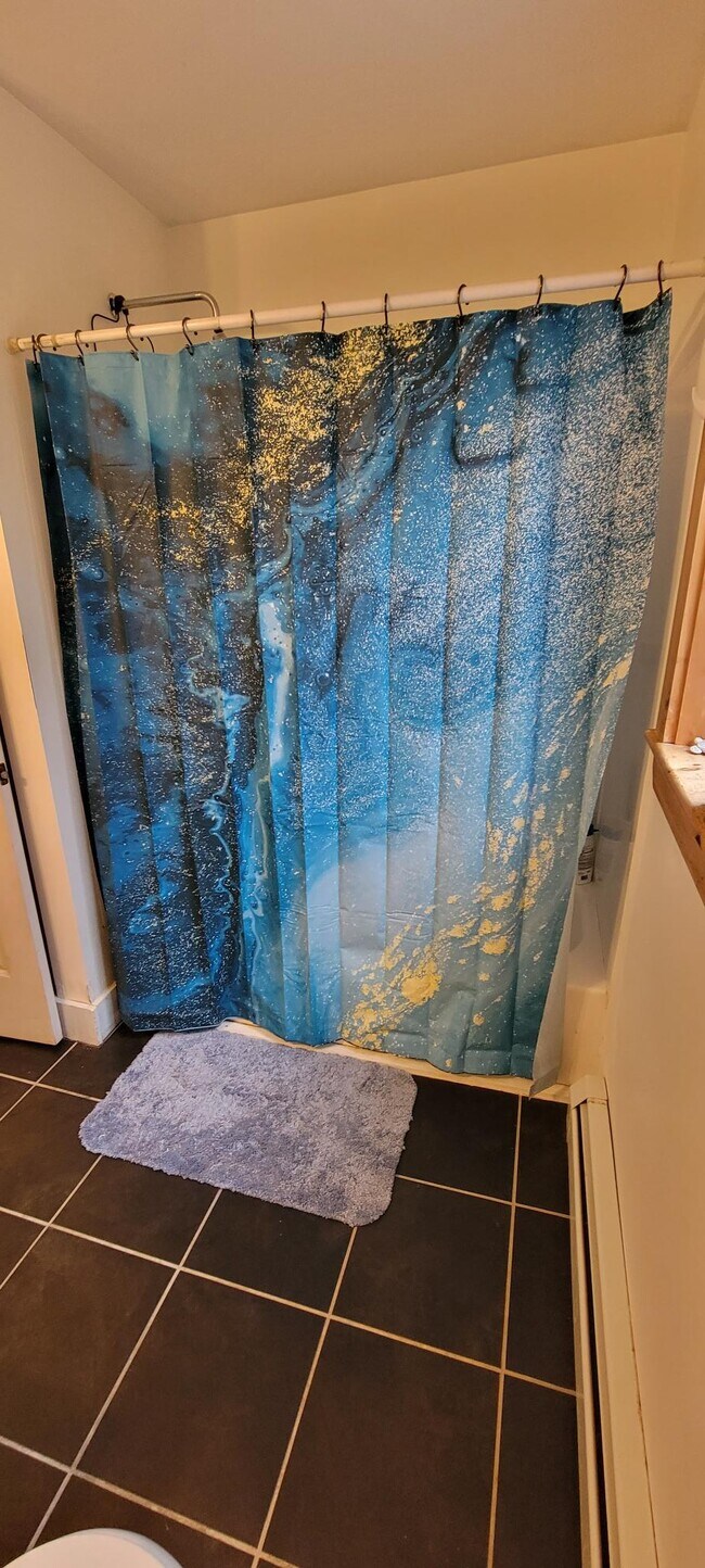 9 Horse View Lane, Poland, ME 04274 House Rental in Poland, ME