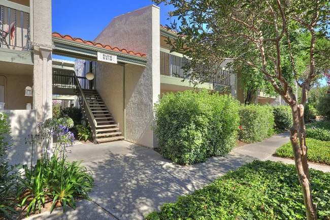 Building Photo - 5518 Armitos Ave