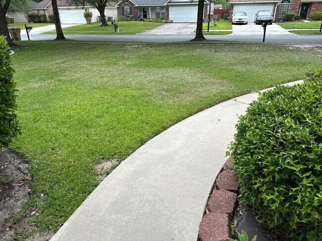 Foto del edificio - 247 Laurel Hill Cir
