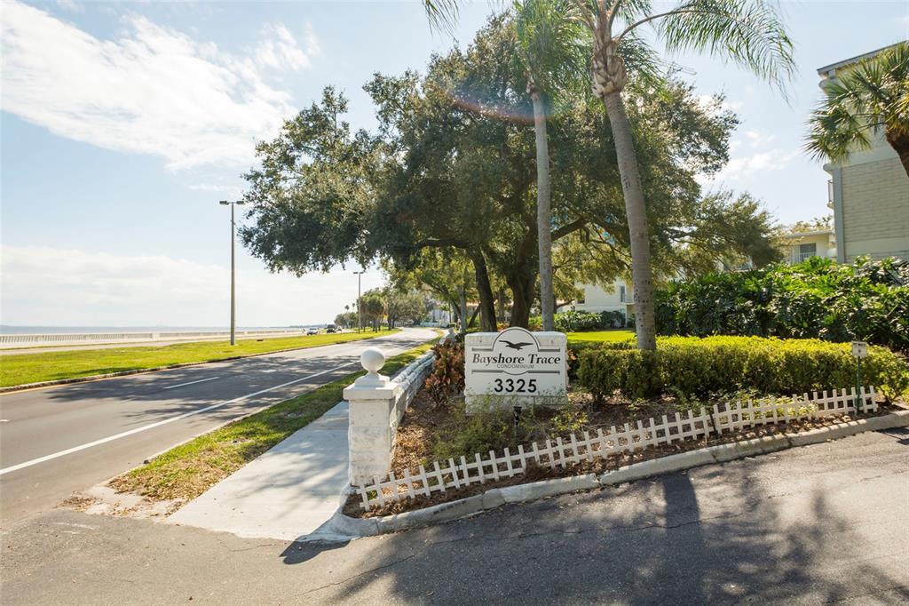 Foto principal - 3325 Bayshore Blvd