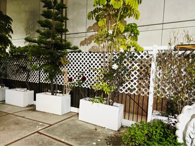 Shared courtyard - 1610 Preuss Rd