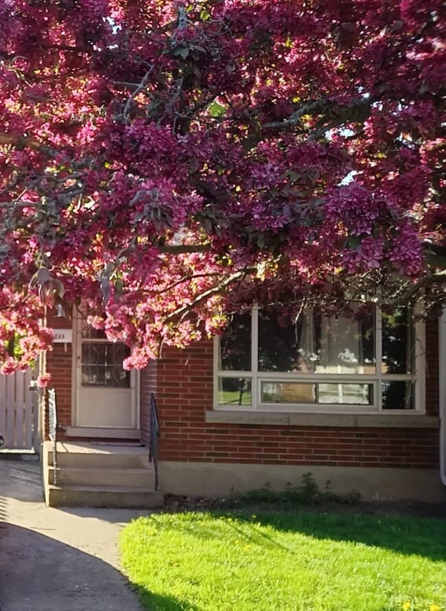 Building Photo - 443 Vine St