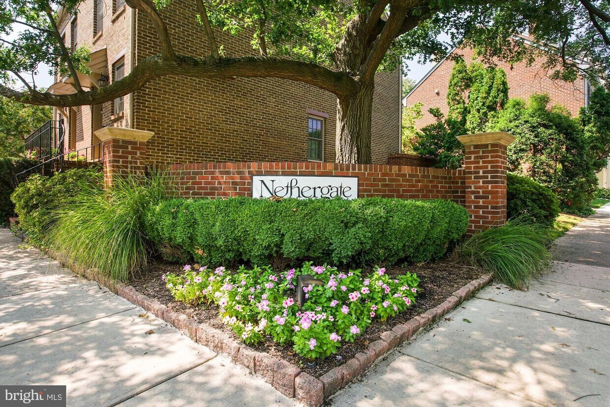 1225 Michigan Ct, Alexandria, VA 22314 Townhome Rentals in Alexandria