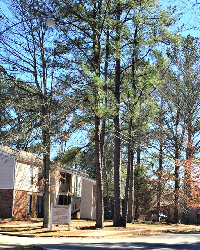 Calle tranquila, bordeada de árboles - Cherokee Bend