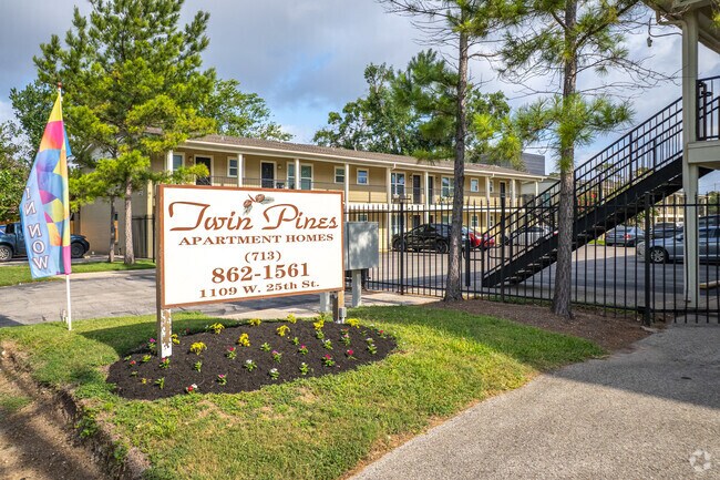 Pinos gemelos - Twin Pines