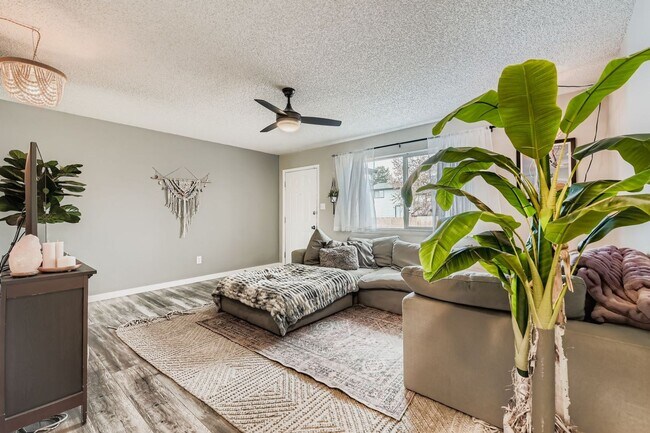 Foto del edificio - Charming 3 bed/1 bath Broomfield Home - Available December 20th!