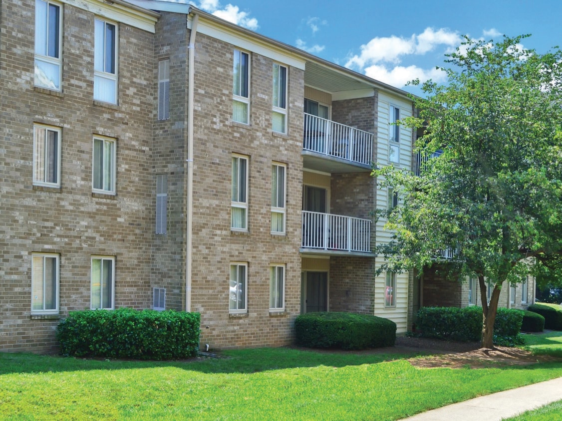Apartment In Elmwood Terrace Apartments