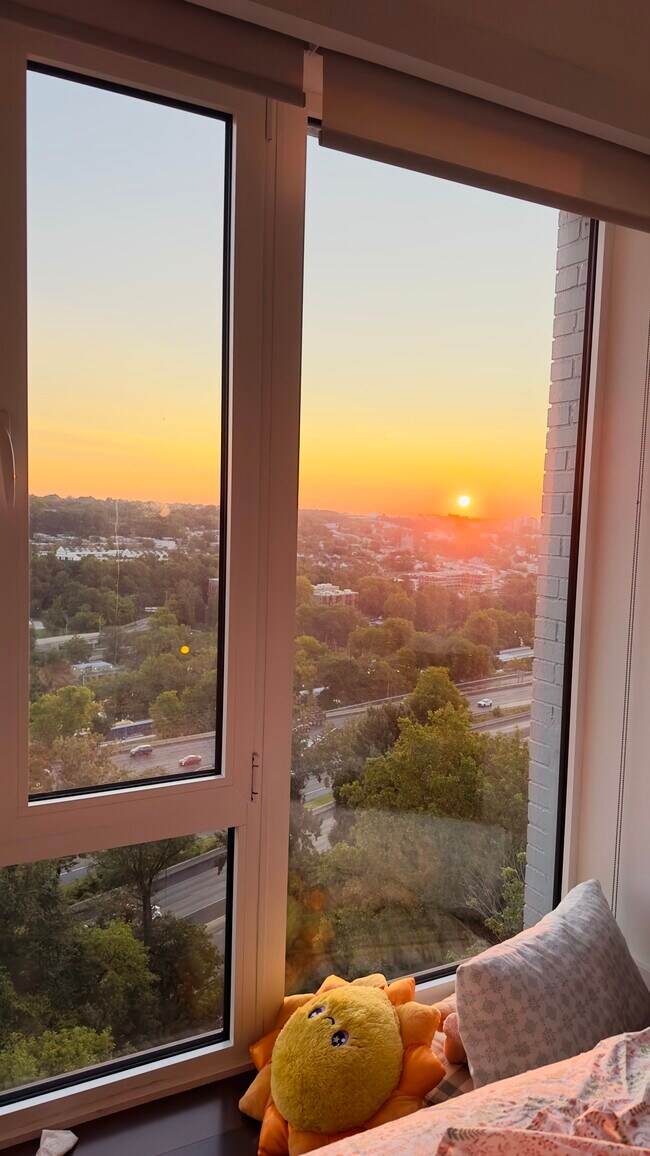 Ceiling to floor windows throughout the apartment - 3900 City Ave