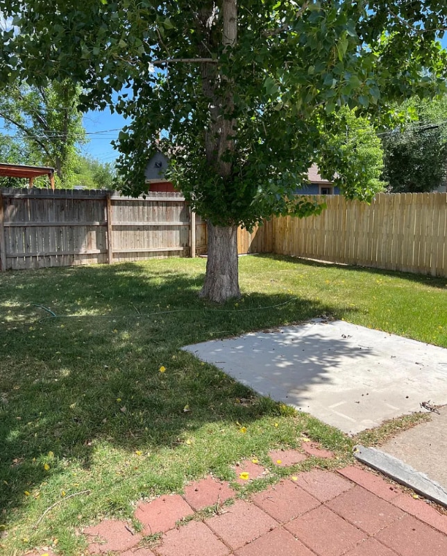 Building Photo - 1674 Laveta St