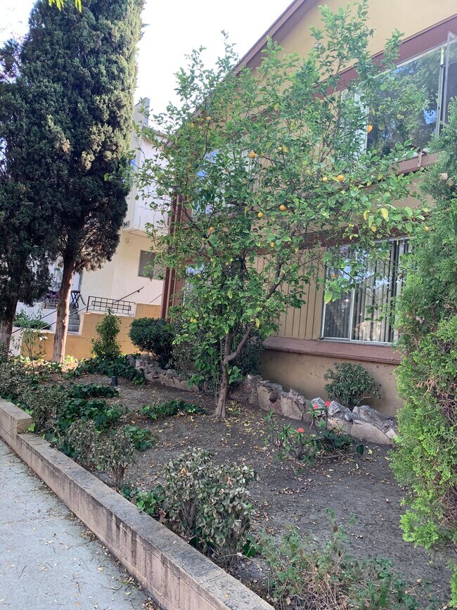 Building Photo - 936 N Stanley Ave