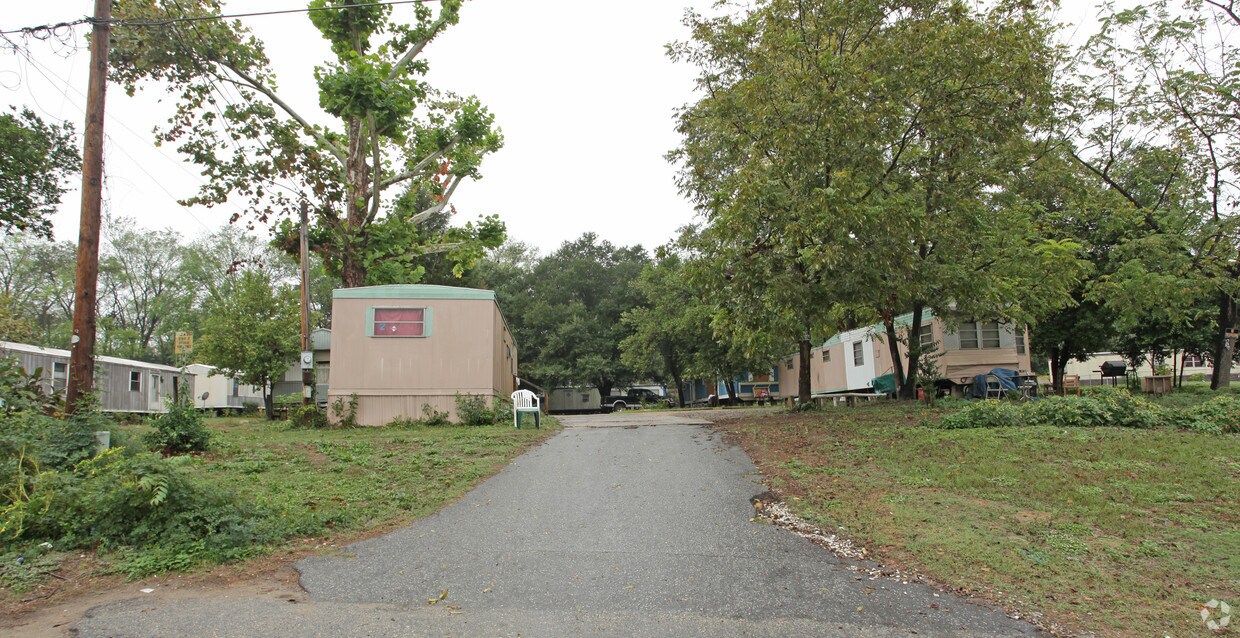 Primary Photo - Bodies Park