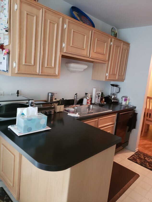 Foto principal - 552 Greystone Ln