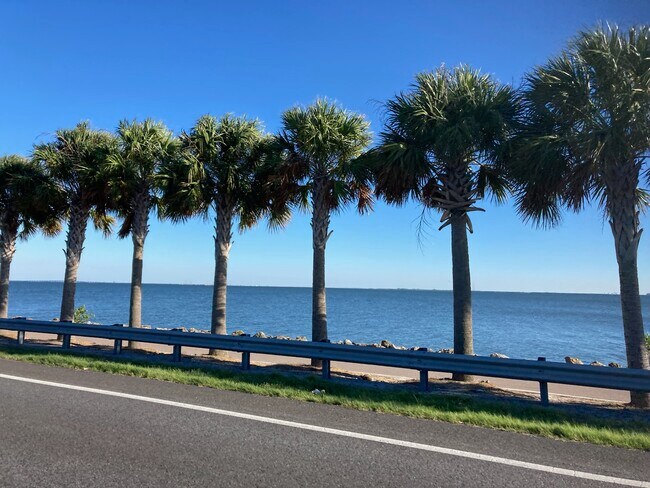 View on walking path - 19029 US Highway 19 N