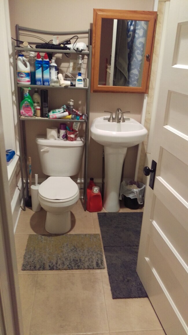 Bathroom - 109 E Main St