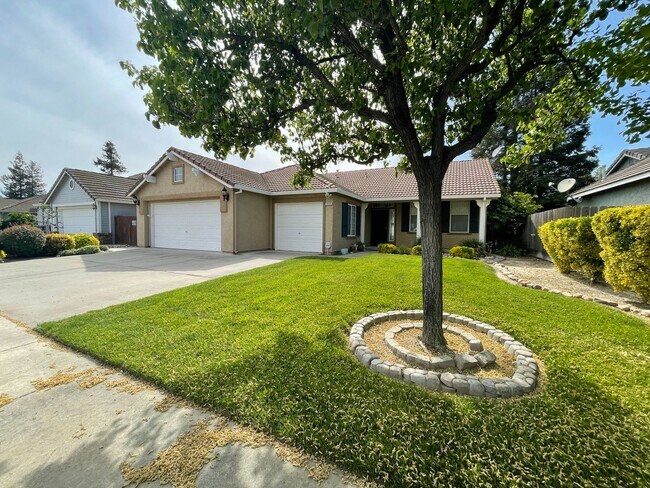 Building Photo - Yard service provided