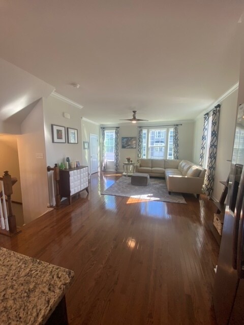 Building Photo - 2036 Elm Tree Ct