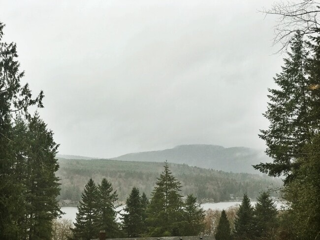 Building Photo - 387 Manley Rd