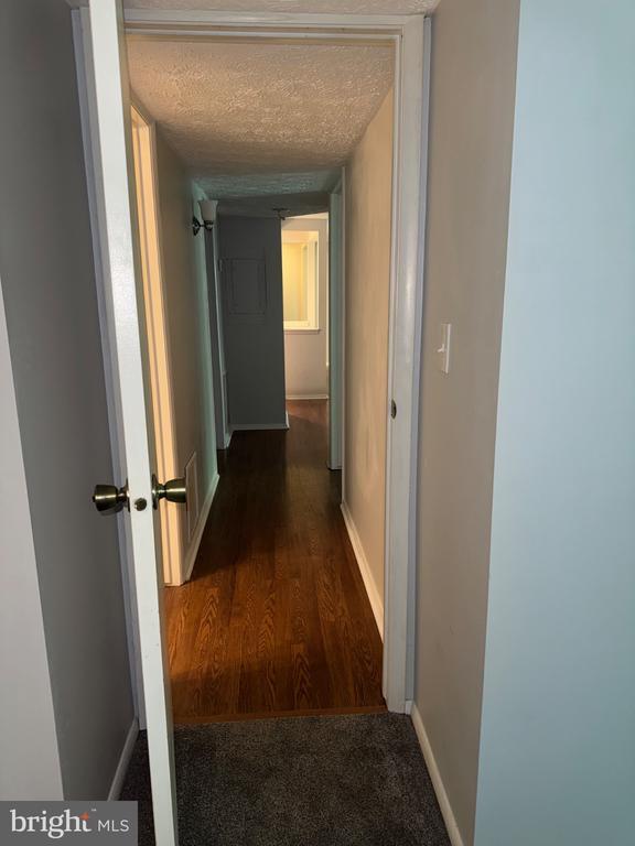 Foto del edificio - 3502 Davenport Ct