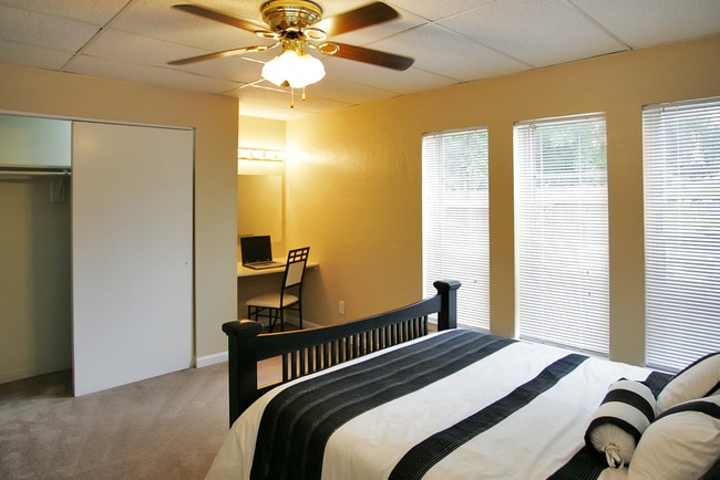 Photo - Phoenix Apartments