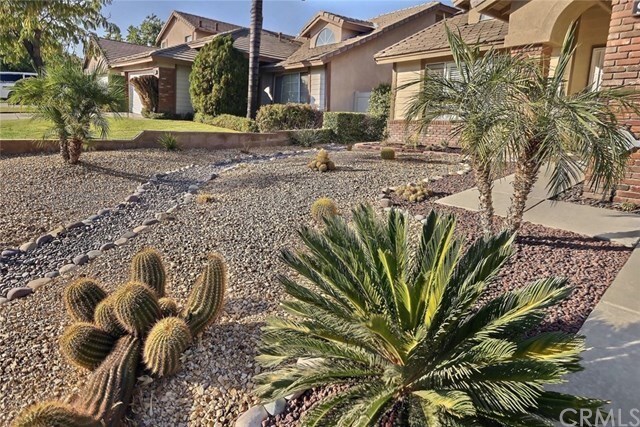 Primary Photo - 9142 Desert Acacia Ln