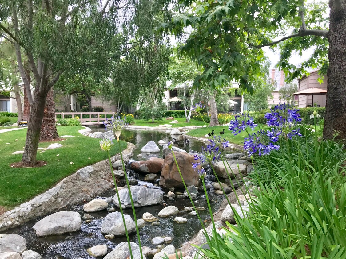 Foto principal - 26701 Quail Creek