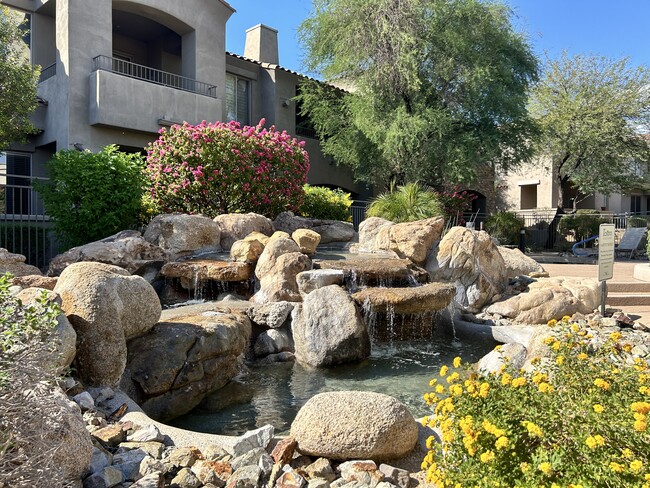 common pool area - 19475 N Grayhawk Dr