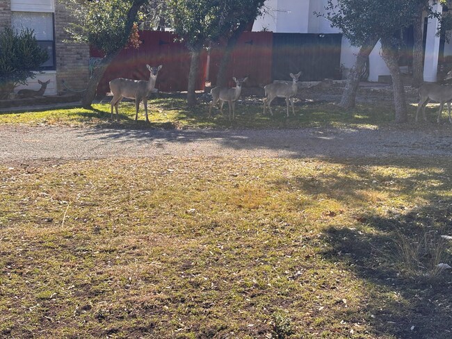 Building Photo - 514 Fossel Pass St