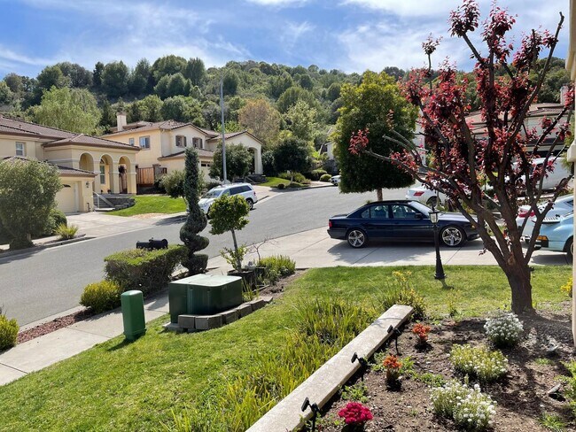 Foto del edificio - 1013 Ridgeview Dr