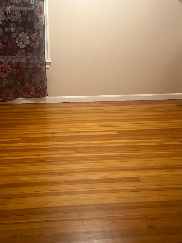 Photo - 10 Osgood Ave House